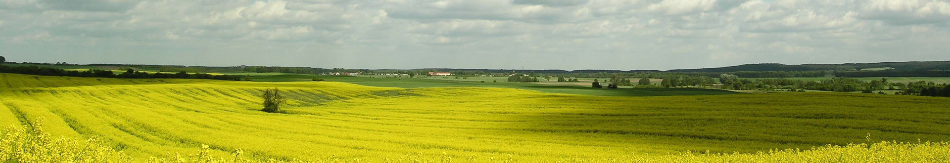Wiosna 1