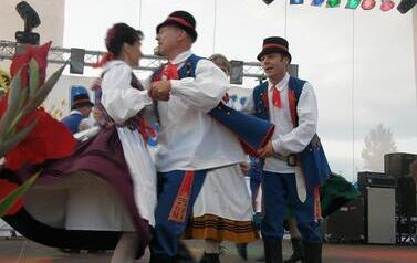 2009 (13)