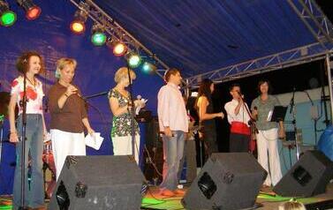 2007 (29)