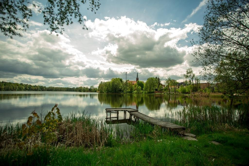 Przyroda Galeria Gmina Przytoczna