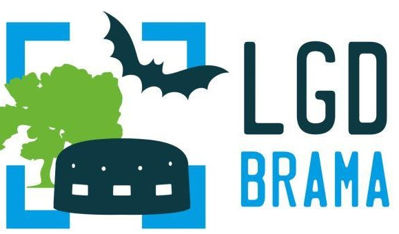 Zdjęcie do Ogłoszenie o naborze wniosk&oacute;w nr 3/2020 STOWARZYSZENIE LGD BRAMA LUBUSKA