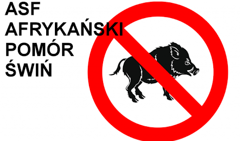 Zdjęcie do ZAGROŻENIE ASF