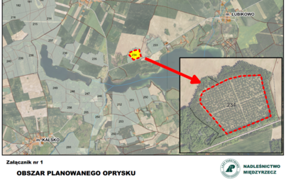 Zdjęcie do Planowany oprysk na plantacji nasiennej sosny zwyczajnej
