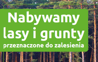 Zdjęcie do Ogłoszenie Nadleśnictwa Międzyrzecz 