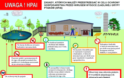 Zdjęcie do APEL do hodowc&oacute;w drobiu 