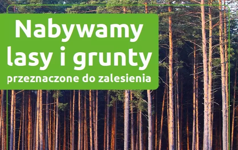 NADLEŚNICTWO MIĘDZYCHÓD - OGŁOSZENIE