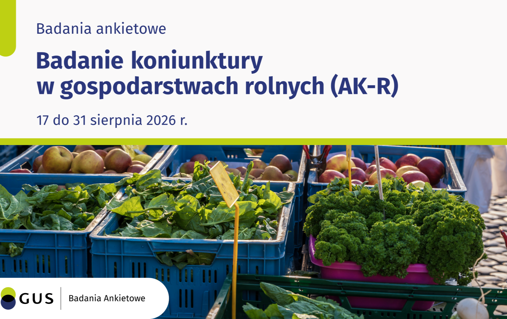 Zdjęcie artykułu z dnia 19-08-2026